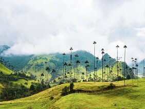 boletin-eje-cafetero-flujos-region-2.png