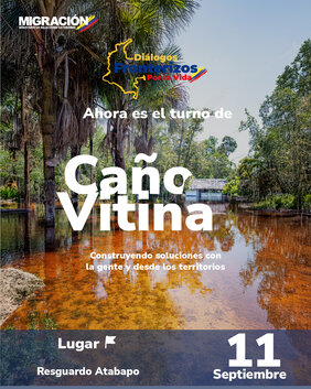 Portada documento - DFV - Caño Vitina